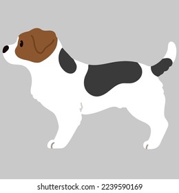 Ilustración simple y linda de Jack Russell Terrier en vista lateral de color plano