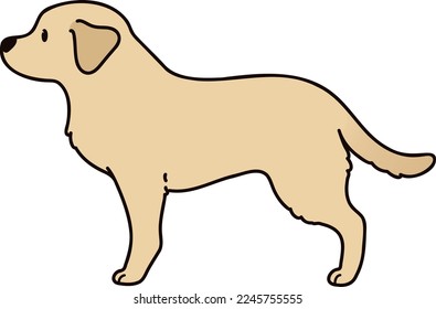 Einfache und süße Illustration von Labrador Retriever in Seitenansicht