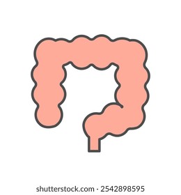 Simple and cute illustration of large intestine