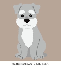 Simple and cute illustration of Miniature Schnauzer sitting in front view flat colored