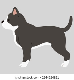 Simple and cute illustration of Pitbull in side view flat colored
