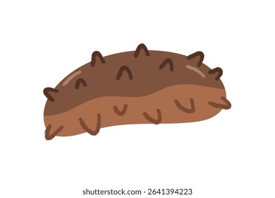 A simple and cute illustration of a sea cucumber. A brown, spiky sea creature.