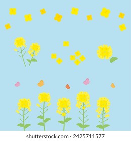 A simple and cute illustration set of yellow canola flowers.
