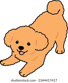 Simple and cute illustration of Toy Poodle being playful