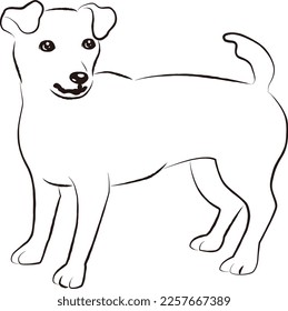 Simple and cute Jack Russell Terrier hand-drawn line drawing vector illustration