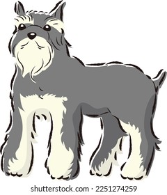 Simple and cute miniature schnauzer hand drawn line drawing vector illustration