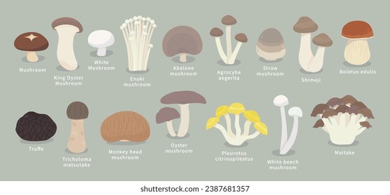 Simple cute mushroom element icon vector