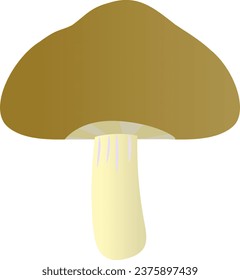 Simple and cute mushroom illustration