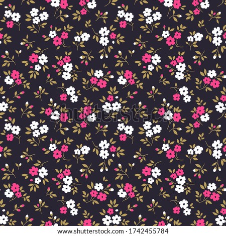 Similar – Image, Stock Photo little flower purple
