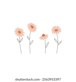 Simple Cute Pink Daisy Flower Isolated On White Background. Vector Eps