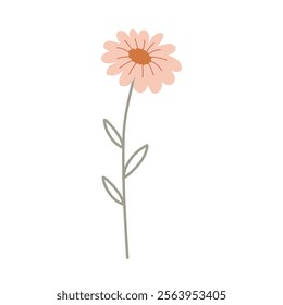Simple Cute Pink Daisy Flower Isolated On White Background. Vector Eps