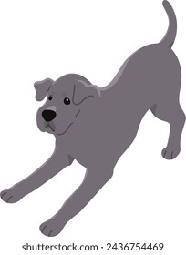 Simple and cute playful Great Dane illustration flat colored