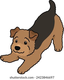 Simple and cute playful Welsh Terrier illustration