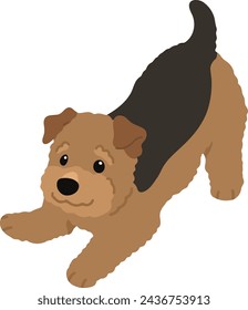 Simple and cute playful Welsh Terrier illustration flat colored