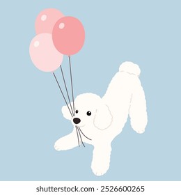 Simple and cute playful white Poodle holding balloons flat colored