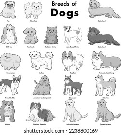 Simple and cute popular dog breed hand-drawn line drawing vector illustration set