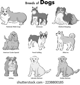 Simple and cute popular medium and large dog breeds hand-drawn line drawing vector illustration set