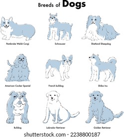 Simple and cute popular medium and large dog breeds hand-drawn line drawing vector illustration set