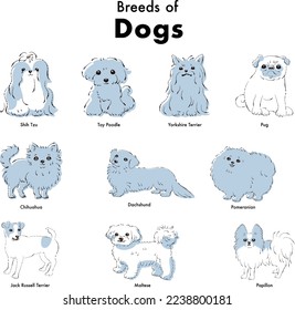 Simple and cute popular small dog breed hand-drawn line drawing vector illustration set