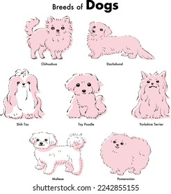 Sencillo y lindo popular raza de perro pequeño dibujado a mano línea de ilustración vectorial conjunto