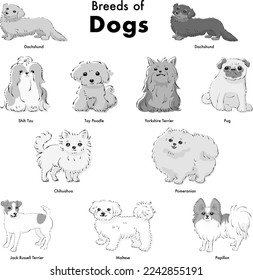 Simple and cute popular small dog breed hand-drawn line drawing vector illustration set