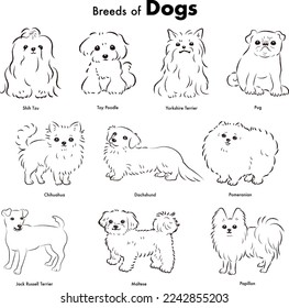 Simple and cute popular small dog breed hand-drawn line drawing vector illustration set