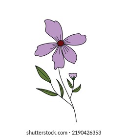 A Simple Cute Purple Flower