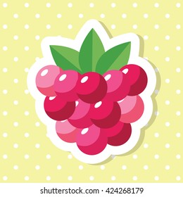 Simple cute raspberries fruit icon collection