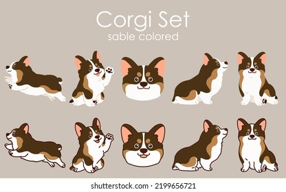 Simple and cute sable colored Corgi dog illustrations set