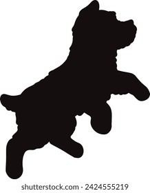 Simple and cute silhouette of Miniature Schnauzer running