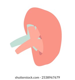 Ilustración del bazo simple y lindo