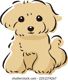 Simple and cute toy poodle hand-drawn line drawing vector illustration