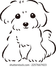 Simple and cute toy poodle hand-drawn line drawing vector illustration