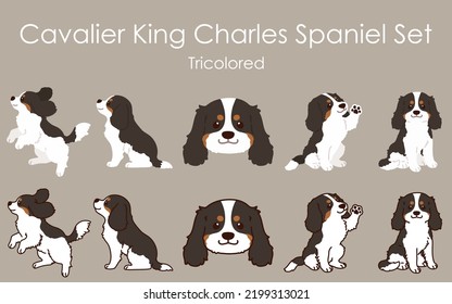 Einfache und süße tribfarbene Illustrationen von Cavalier King Charles Spaniel 