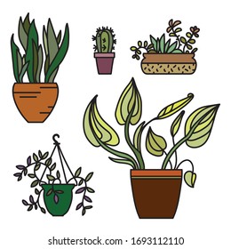 Simple and cute variety of images. Flowers, plants and succulents: sansevieria, cactus, tradescantia and aglaonema among others. Standing or handing, ceramic or plastic pots.