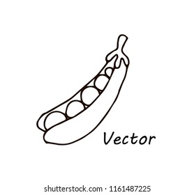 simple cute vector drawing pea pod for coloring for children design and logo