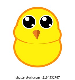 simple cute vector illustration little chicken