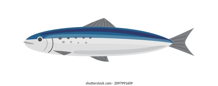 Simple and cute vector illustration of sardine.
