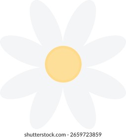 Simple cute white daisy collage