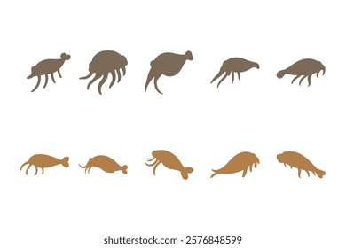 Simple Cuttlefish Illustration Design Set