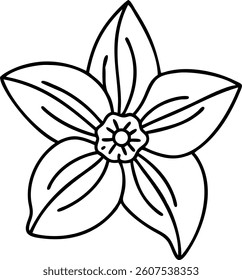 Simple Daffodil in Outline with a Trumpet-Shaped Center Vector | Elegant Floral Icon | Minimalist Botanical Design for Logos, Prints, and Decorative Elements