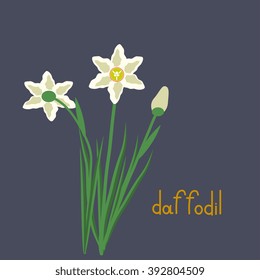 Simple daffodil vector plant illustration