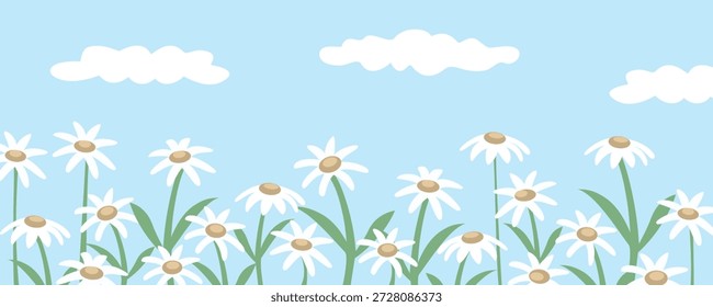 Ilustración de prado de margarita simple. Paisaje de flores de manzanilla. Flores florecientes. Primavera.