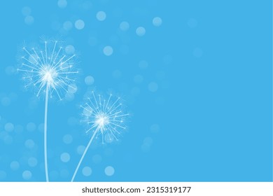 simple dandelion flower seeds in blue bokeh background