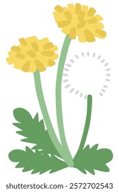 Simple dandelion flower vector illustration