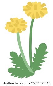 Simple dandelion flower vector illustration