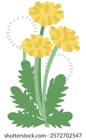 Simple dandelion flower vector illustration