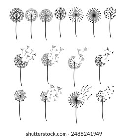 simple dandelion illustration vector set