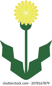 A simple dandelion that blooms in the field