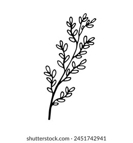 Simple decorative plants brunch with leaves for design. Black line doodle herb. Hand drawn clip art illustration in doodle style for poster, banner,print, greeting card. Isolated on white background.